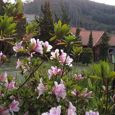 Pousada Flores Da Serra Monte Verde  Exteriér fotografie